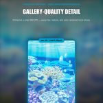 Horsea #67 — Shrouded Fable (Binder Insert) — photo 4