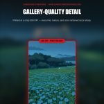 Ledian #144 — Stellar Crown (Binder Insert) — photo 4